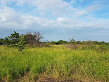 OFERTA DE FINCA GANADERA EN RIO HATO