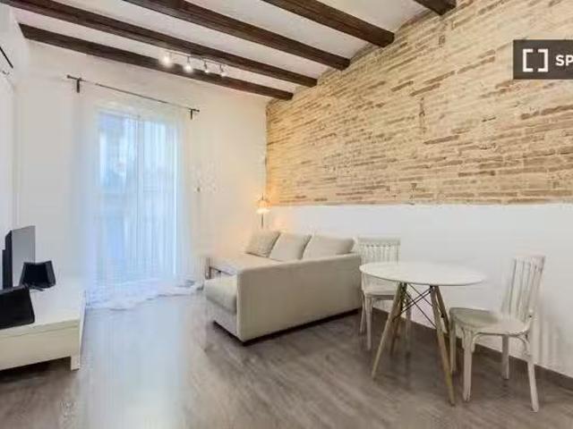 Barato Estudio en alquiler en El Raval, Barcelona
