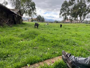 EXCELENTE TERRENO ZONA URBANA BAÑOS DEL INCA CAJAMARCA