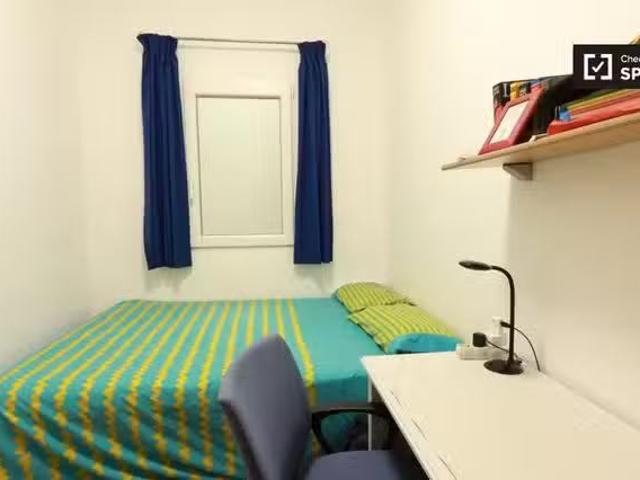 ¡Oferta! Se alquila habitación en piso de 3 dormitorios en Bor.