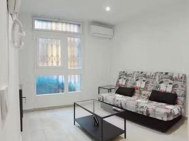 Acogedor Piso de 1 habitación en Calle de Berruguete