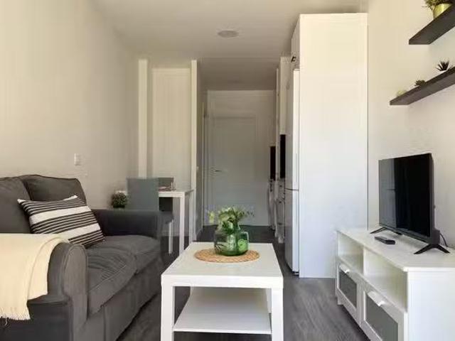 Acogedor Piso de 1 habitación en Calle de Ricardo Ortiz