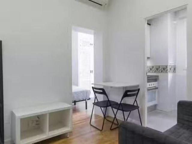 Nuevo Piso de 1 habitación en Calle del Oso, Embajadores