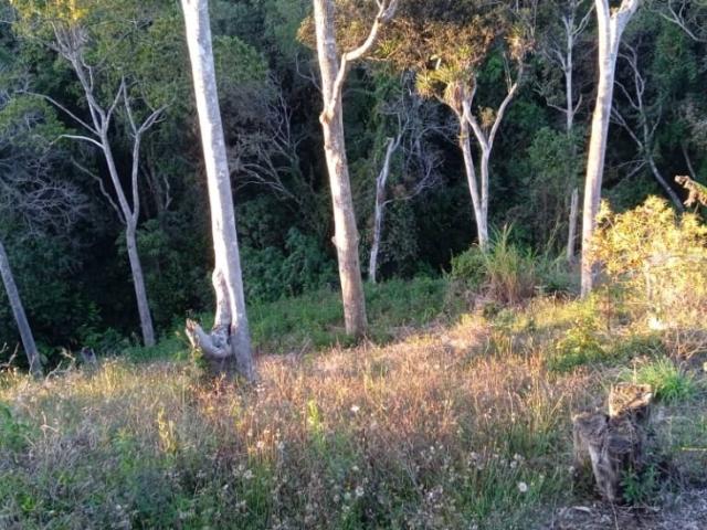 Oferta Terreno de 2600 mtrs2 en venta el Junquito la Niebla