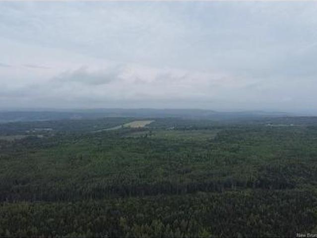Off Drurys Cove Rd, Ratter Corner, NB, E4E 3K9 vacant land for sale | Listing ID NB144035 | Royal LePage