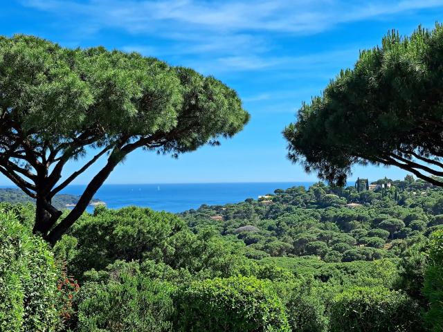 Off Market — Gigaro 224m² La Croix Valmer