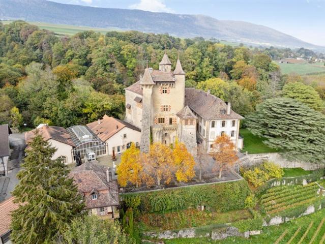 Büro/Werkstatt/Räumlichkeiten von 96 m² im Château de Vaumarcus