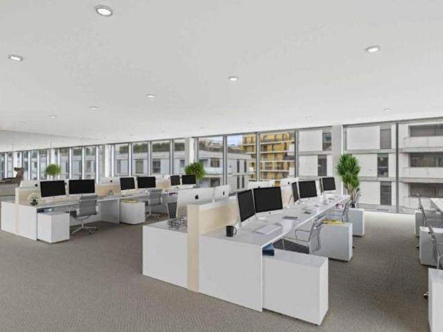 Office for rent in Châtelaine 1 600 m² | dreamo. Ch