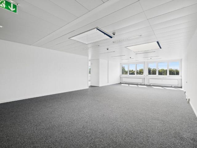 Office for rent in Allschwil 245 m² | dreamo. Ch