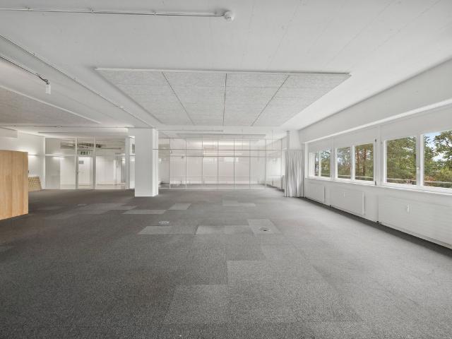 Office for rent in Basel 624 m² | dreamo. Ch
