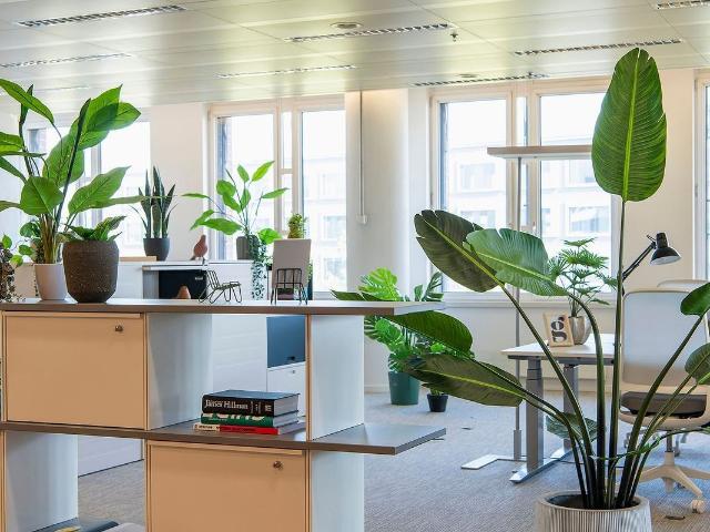 Office for rent in Glattpark Opfikon Ref 35947 | dreamo. Ch