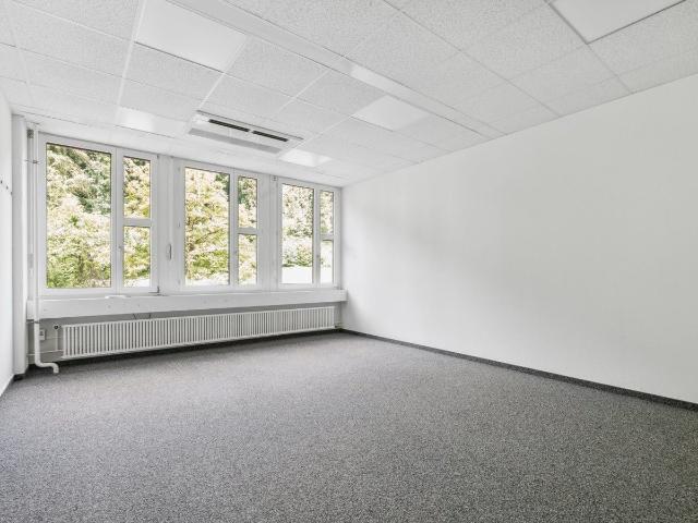 Office for rent in Dietikon 255 m² | dreamo. Ch