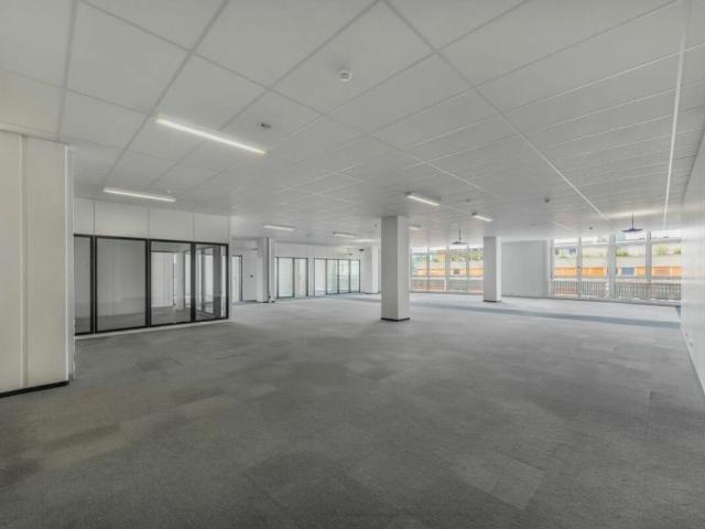 Office for rent in Dietikon 325 m² | dreamo. Ch