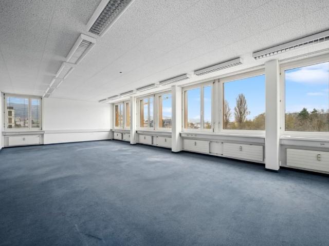 Office for rent in Dietikon 635 m² | dreamo. Ch