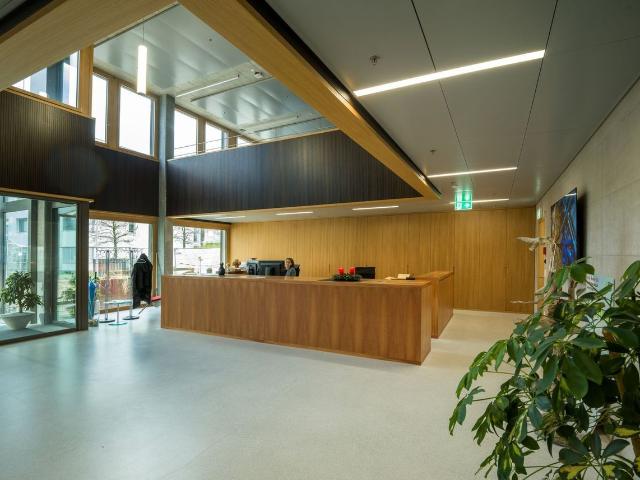 Office for rent in Hagendorn 857 m² | dreamo. Ch