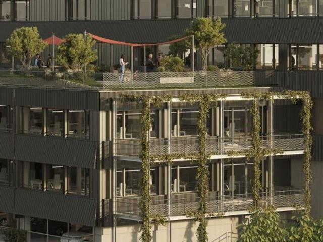 Office for rent in Herisau 55 m² | dreamo. Ch