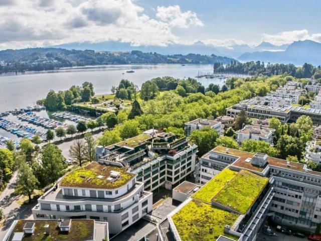 Office for rent in Luzern 195 m² | dreamo. Ch