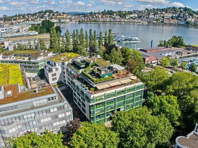 Office for rent in Luzern 670 m² | dreamo. Ch