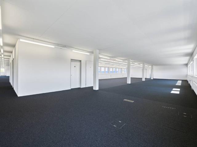 Office for rent in Möhlin 294 m² | dreamo. Ch