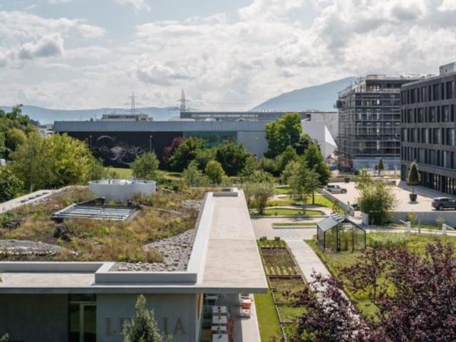 Office for rent in Meyrin 230 m² | dreamo. Ch