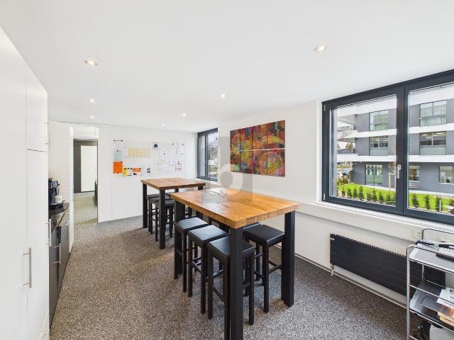 Office for rent in Murten 73 m² | dreamo. Ch
