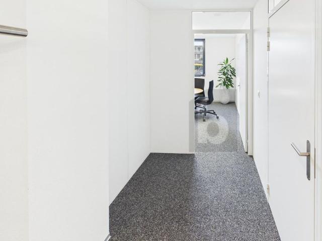 Office for rent in Murten 87 m² | dreamo. Ch