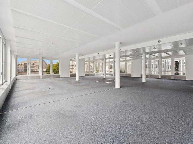 Office for rent in Schlieren 226 m² | dreamo. Ch