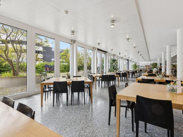 Office for rent in Schlieren 226 m² | dreamo. Ch