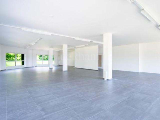 Office for rent in St Légier La Chiésaz 178 m² | dreamo. Ch