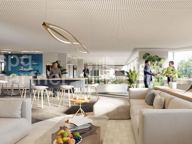 Office for rent in Pully 630 m² | dreamo. Ch