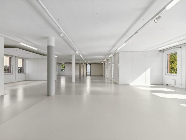 Office for rent in Reinach BL 335 m² | dreamo. Ch