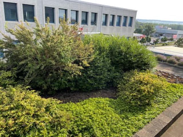 Office for rent in Rümlang 525 m² | dreamo. Ch