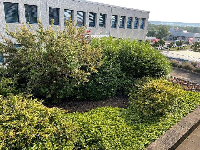 Office for rent in Rümlang 59 m² | dreamo. Ch