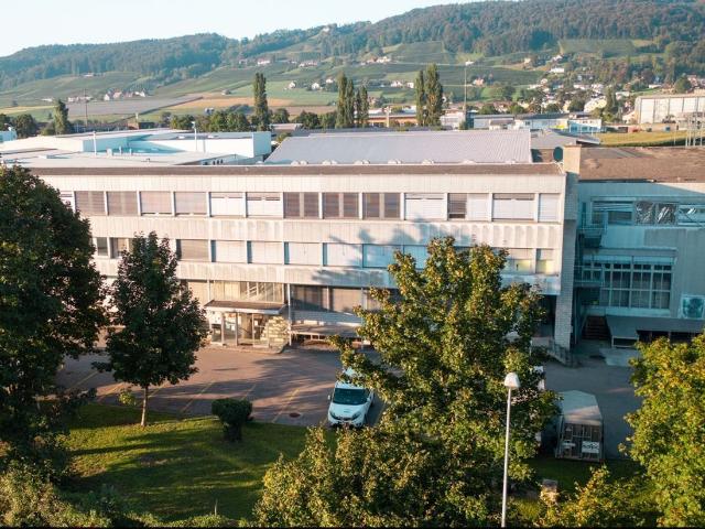Office for rent in Weinfelden Ref 35908 | dreamo. Ch
