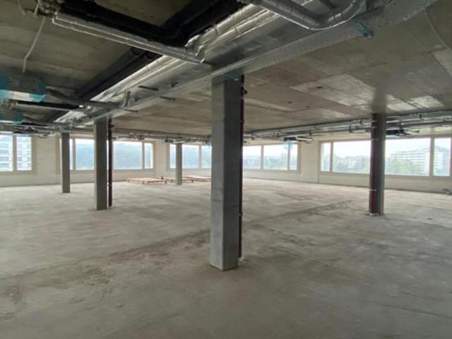 Office for rent in Thônex 581 m² | dreamo. Ch