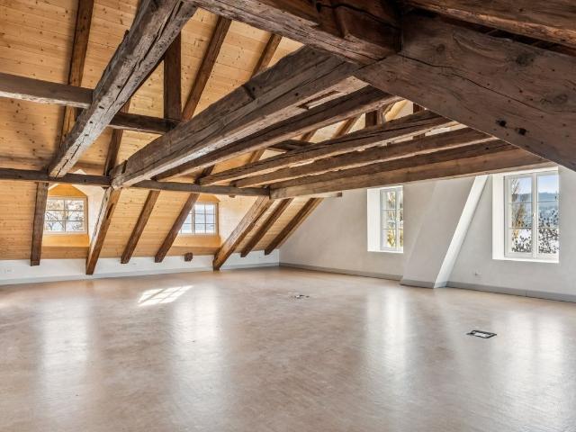 Office for rent in Zollikon 403 m² | dreamo. Ch