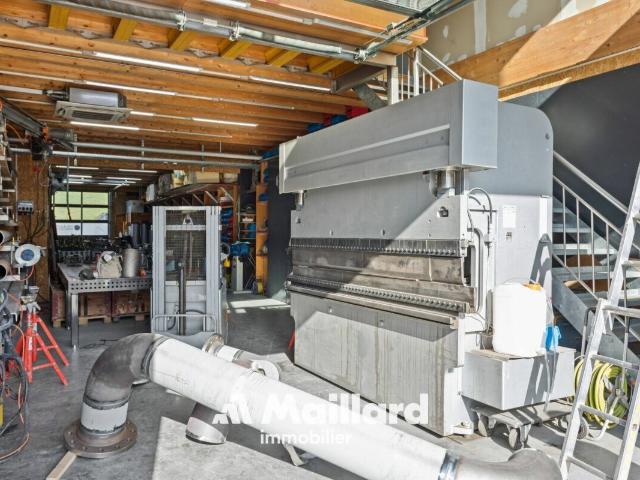 Office on sale in Moudon 614 m² | dreamo. Ch
