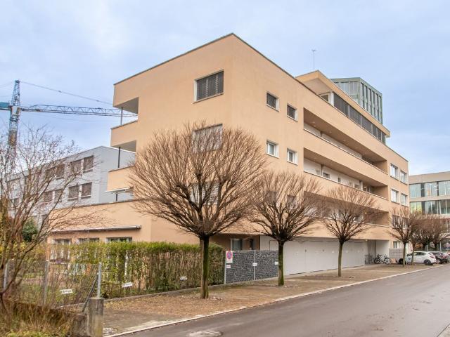 Office space for rent in Aarau 167 m² | dreamo. Ch
