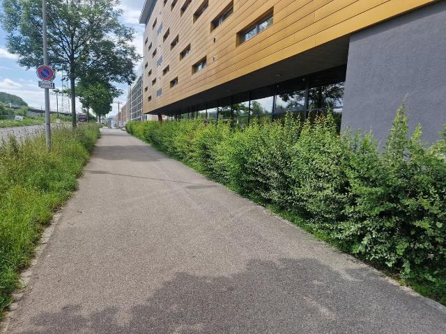 Office space for rent in Adliswil 540 m² | dreamo. Ch