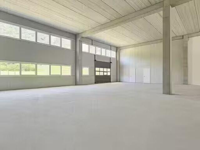 Office space for rent in Bedano 599 m² | dreamo. Ch