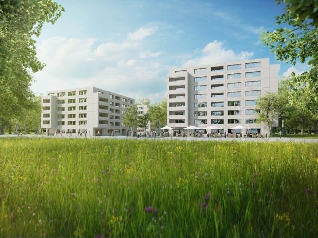 Office space for rent in Grand Lancy 35 m² | dreamo. Ch
