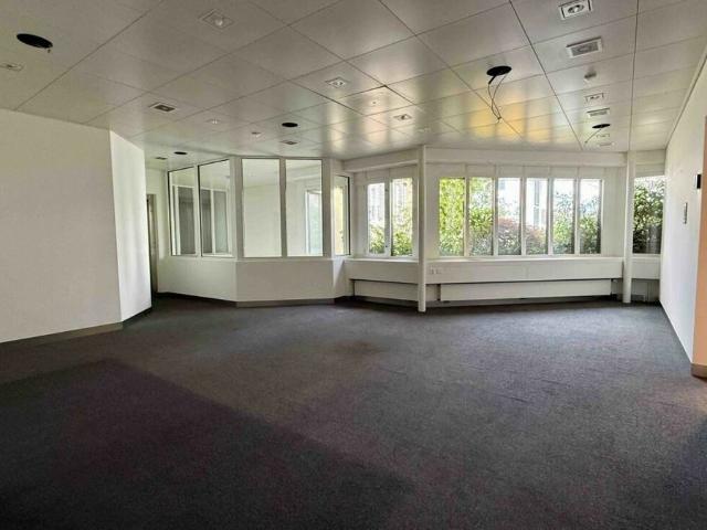 Office space for rent in Flawil 92 m² | dreamo. Ch