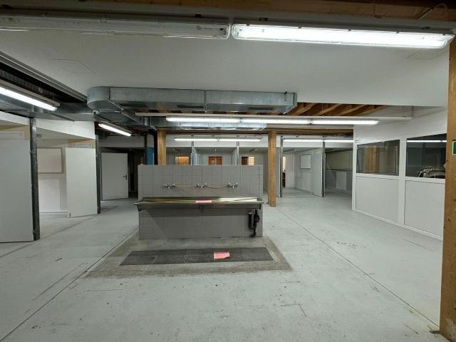 Office space for rent in Lausen 385 m² | dreamo. Ch