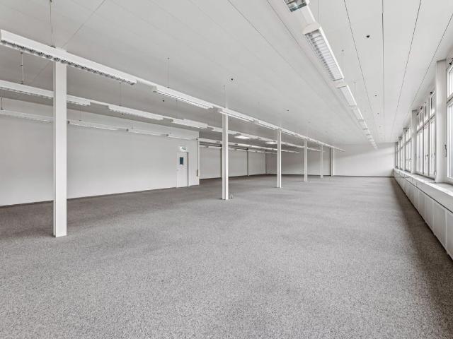 Office space for rent in Muri AG 331 m² | dreamo. Ch