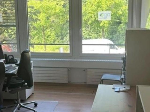 Office space for rent in Nyon Ref 35252 | dreamo. Ch