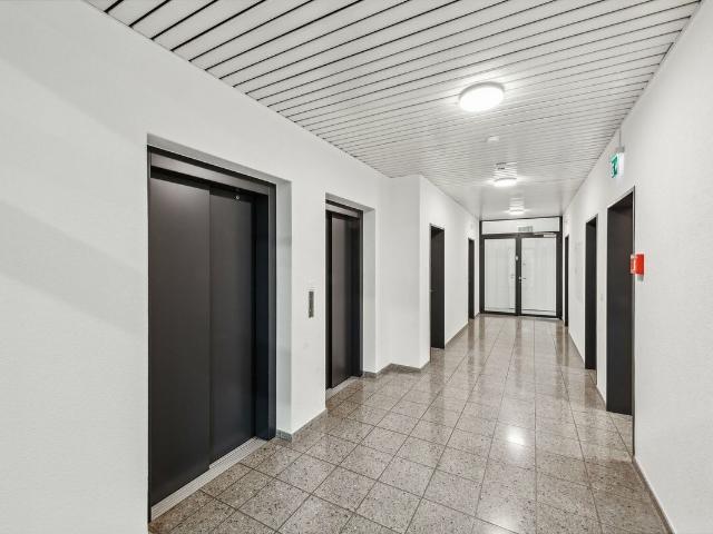 Office space for rent in Spreitenbach 631 m² | dreamo. Ch