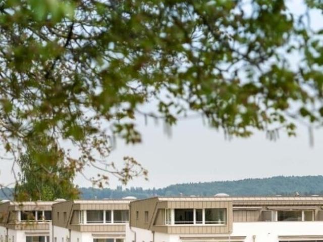 Office space for rent in Stadel ZH 43 m² | dreamo. Ch