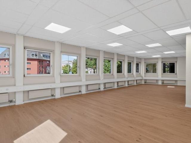 Office space for rent in Pully 76 m² | dreamo. Ch