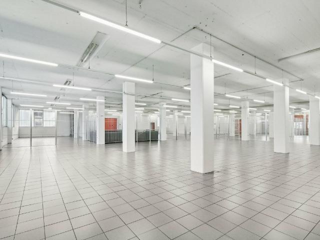 Office space for rent in Root 79 m² | dreamo. Ch