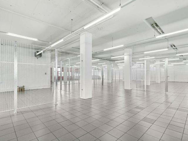 Office space for rent in Root 369 m² | dreamo. Ch